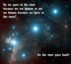 Quotes About Stardust Quotesgram