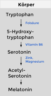 Wie Vitamin B6 Zink Dein Lebens Verandern Konnen