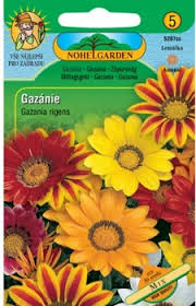 Image result for foto Gazánie