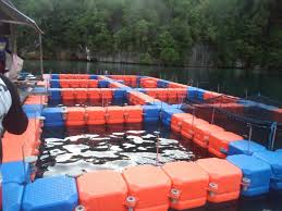 Jual Keramba Jaring Apung Atau Kja One Float
