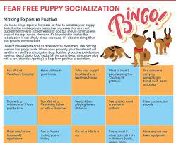 Check spelling or type a new query. Puppy And Kitten Socialization Bingo