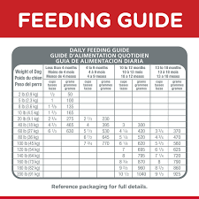 The benyfit natural online raw dog food calculator is designed to help you feed your dog the right daily amount of raw food. Hill S Science Diet Puppy Large Breed Chicken Meal Oat Recipe Dry Dog Food 30 Lb Bag Chewy Com