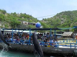 Wild life sanctuary and rescue center. Aquarium And Marine Museum In Colombia My Guide Colombia