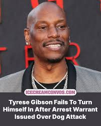 Ice Cream Conversations®