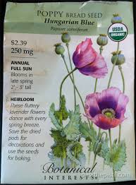 Opium poppies are annual wildflowers that come in a wide range of colors, from white to deep purple (with scarlet and pink stops along the way). Grow More Flowers