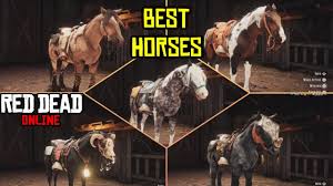 Arabians tend to have higher attributes overall, with superior reactivity and agility. What Is The Best Horse In Red Dead Online