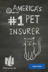 Travelers, liberty mutual with insurify. Pet Owners More Like Pet Parents Protect Your Pet With America S 1 Pet Insurance Pet Health Insurance Pets Pet Health