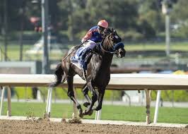 The final odds for these future pools will be posted as attachments at the bottom of this article once available. Road To The 2021 Kentucky Derby Santa Anita Derby Analysis