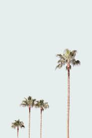 Palm Print Palm Wall Art Wall Print Large Palms Print Palm Prints Tropical Print Tropical Decor Large Prints Prints Wall Prints Room Decor Picture Wall Picture Collage Wall Picture Collage