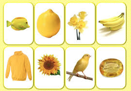 Loto Des Couleurs Couleurs D Age Prescolaire Activites De Couleur Jeux De Couleur