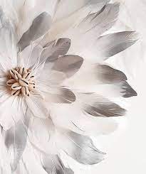 Juju Hat Plumes Blanches Pointes Argentees Centre En Coquillages Diametre 40cm Juju Hat Noir A Pointes Argentees Di Juju Hat Craft Inspiration Rooftop Wedding