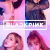 Blackpink wallpaper kpopwallpaper jisoo kpop rose yg lisa blackpinkinyourarea. Https Encrypted Tbn0 Gstatic Com Images Q Tbn And9gcsdc Xxc3w5sj44ksxtdtgftzxsyowjflsl9ch Opv03gsqhaql Usqp Cau