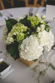 Unrivaled in the shrub world for beautiful flowers, these elegant plants are easy to cultivate, tolerate almost any soil, and produce abundant blooms. 34 Best Costco Flowers Ideas Costco Flowers Wedding Flowers Flowers