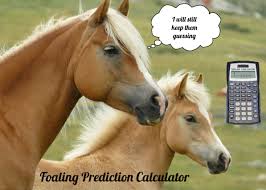 Mare Foaling Prediction Signs Find My Horses