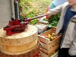 Faire L Eau De Vie De Pomme Ma Passion Du Verger Eau De Vie Pomme Eau
