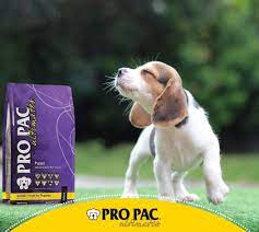 4.2 out of 5 stars 32. Petco Honduras El Alimento Pro Pac Puppy Chicken Es Facebook