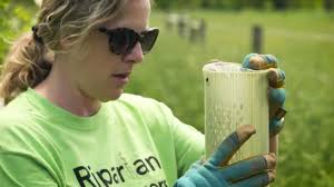 Dairy Farmers and the Alliance: Something Tree-mendous!