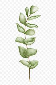Hand Drawn Green Leaves Transparent Png Free Image By Rawpixel Com Noon Green Leaf Background Green Leaves Wreath Watercolor