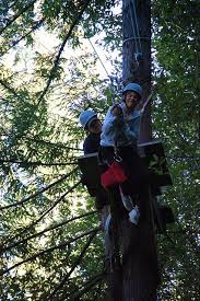 Zip Line Take Off Ziplining Favorite Places Photo