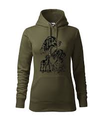 Image result for auvergneský ohař