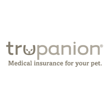 The Best Pet Insurance Companies For 2019 Reviews Com