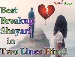 I am writing to express my concern over the hindi language. 20 New Breakup Shayari In Two Lines Hindi Picture Shayari Sadpicshayari