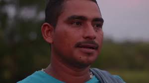 Caja de herramientas para la articulación entre iniciativas de monitoreo  comunitario con el Sistema de Monitoreo de Bosques y Carbono de Colombia