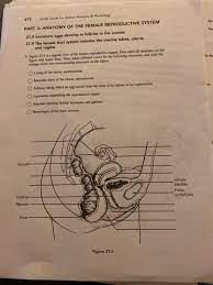 Solved 672 Study Guide For Human Anatomy Physiology Spo Chegg Com