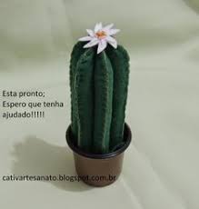 / il negozio di piante e giardinaggio, passione piante, si trova a terlizzi (bari), ed offre la consultazione online del nostro catalogo, che i nostri clienti potranno effettuare comodamente e in completa libertà, potendo effettuare l'acquisto. 900 Idee Su Piante Grasse Nel 2021 Piante Grasse Piante Cactus