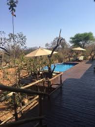 Ou du moins il ne distingua personne, dans l'éblouissement que lui envoyèrent ses yeux. Sejour De Reve Au Treetops Ce Fut Un Lodge Magnifique Ou Nous Avons Rencontre Des Personnes Ado Picture Of Elewana Tarangire Treetops Tarangire National Park Tripadvisor