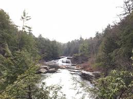 It's a relatively small park, but it boasts the oldest white pine and eastern hemlock trees in md. Touristsecrets Swallow Falls State Park All You Need To Know Touristsecrets