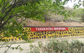 / jangan asal berangkat aja, nanti kalau tutup jadi engga bolak balik. Berkunjung Ke Taman Rusa Dan Taman Kelinci Di Sekupang Wisata Edukatif Di Batam Cerita Umi