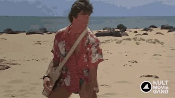 Hard Ticket To Hawaii GIFs | Tenor