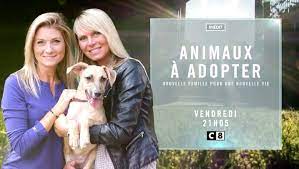 Chaque année plus de 100 000 animaux sont abandonnés en france. Animaux A Adopter Nouvelle Famille Pour Une Nouvelle Vie Du 8 Novembre 2019 Topreplay