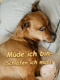 Dieser wird automatisch markiert und du kannst ihn direkt kopieren und ins gästebuch oder auf der gewünschten seite einfügen. Gute Nacht 49 Bilder Fur Mein Schatz Lustig 2019
