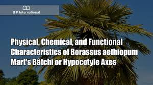 Image result for Borassus aethiopum