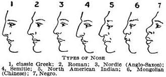 Nose Shapes And Names Google Search Nose Types Greek