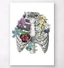 If you are looking for a new tattoo, then why not try out a ribcage tattoo. Rib Cage With Flowers Flower Drawing Anatomy Art Drawings