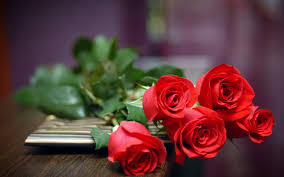 Check spelling or type a new query. Red Roses Of Love On Table Hd Desktop Wallpaper Background Download