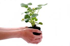 I would like to say a few words dedicated to the environment. Speech On World Environment Day For Students And Children