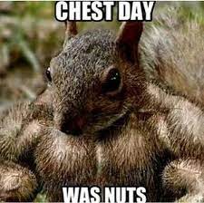 Chest Day Was Nuts Workout Humor Gym Memes Gym Jokes