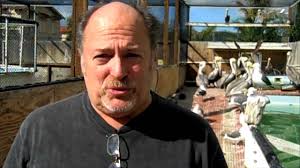 Why Pelicans Could Not Weather January Storms