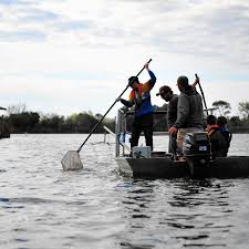 Sandburg, Andrew fishing club conducts shock survey of Lake Sedgewick