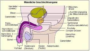 Praxis Fur Praventivmedizin In Freiburg Wechseljahre Beim Mann