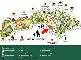 The kl bird park houses more than 3,000 birds in enclosed aviaries of which almost 90% are local birds and the rest are imported. Bird Park In Kuala Lumpur Jet Lagged Mama