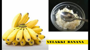 The humble yelakki banana, which was retailing at ₹66 a kg in may, has become dear. Mashed Banana Puree Baby Food Infant Food 6 Months Old 7 Months Old Yelakki Banana Youtube