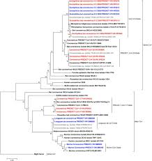 God occasionally dozes off, and cupid sometimes shakes his hands, but the destined person will eventually walk through thousands of mountains and rivers to episode 5. Coronavirus Testing Indicates Transmission Risk Increases Along Wildlife Supply Chains For Human Consumption In Viet Nam 2013 2014 Biorxiv