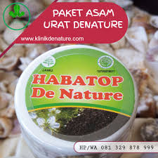 Pin Di Obat Asam Urat Super Ampuh