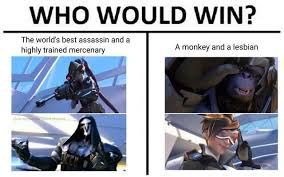 Overwatch Memes Hmmmm The Monkey And The Lesbian The Monkey Who Is Basically Hulk And The Lesbian Who Has T Overwatch Funny Overwatch Memes Overwatch Comic