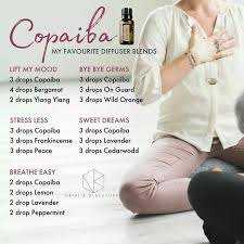 At Any Time You Require A Pick Me Up Diffuse A Little Peppermint Oil The Fresh Minty Sce Copaiba Essential Oil Aromatherapy Oils Essential Oils Aromatherapy